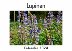 Lupinen (Wandkalender 2024, Kalender DIN A4 quer, Monatskalender im Querformat mit Kalendarium, Das perfekte Geschenk) - Müller, Anna