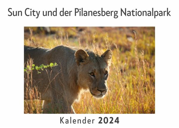 Sun City und der Pilanesberg Nationalpark (Wandkalender 2024, Kalender DIN A4 quer, Monatskalender im Querformat mit Kalendarium, Das perfekte Geschenk) Sun City und der Pilanesberg Nationalpark (Wandkalender 2024, Kalender DIN A4 quer, Monatskalender im Querformat mit Kalendarium, Das perfekte Geschenk)