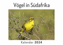 Vögel in Südafrika (Wandkalender 2024, Kalender DIN A4 quer, Monatskalender im Querformat mit Kalendarium, Das perfekte Geschenk) - Müller, Anna