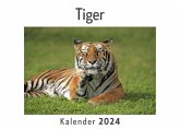 Tiger (Wandkalender 2024, Kalender DIN A4 quer, Monatskalender im Querformat mit Kalendarium, Das perfekte Geschenk) Tiger (Wandkalender 2024, Kalender DIN A4 quer, Monatskalender im Querformat mit Kalendarium, Das perfekte Geschenk)