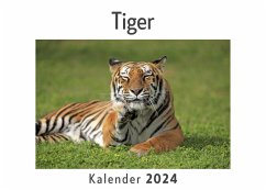 Tiger (Wandkalender 2024, Kalender DIN A4 quer, Monatskalender im Querformat mit Kalendarium, Das perfekte Geschenk) - Müller, Anna