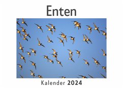 Enten (Wandkalender 2024, Kalender DIN A4 quer, Monatskalender im Querformat mit Kalendarium, Das perfekte Geschenk) - Müller, Anna