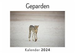 Geparden (Wandkalender 2024, Kalender DIN A4 quer, Monatskalender im Querformat mit Kalendarium, Das perfekte Geschenk) - Müller, Anna