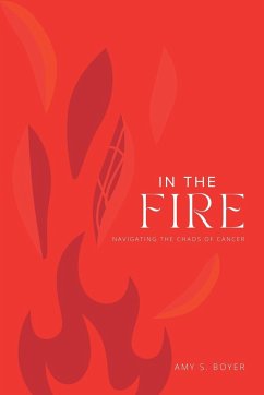 In The Fire - Boyer, Amy S