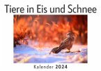 Tiere in Eis und Schnee (Wandkalender 2024, Kalender DIN A4 quer, Monatskalender im Querformat mit Kalendarium, Das perfekte Geschenk)