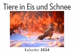 Tiere in Eis und Schnee (Wandkalender 2024, Kalender DIN A4 quer, Monatskalender im Querformat mit Kalendarium, Das perfekte Geschenk) - Müller, Anna