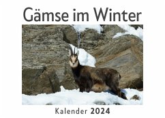 Gämse im Winter (Wandkalender 2024, Kalender DIN A4 quer, Monatskalender im Querformat mit Kalendarium, Das perfekte Geschenk) - Müller, Anna