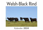 Welsh-Black Rind (Wandkalender 2024, Kalender DIN A4 quer, Monatskalender im Querformat mit Kalendarium, Das perfekte Geschenk)
