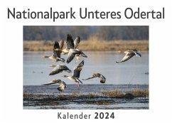 Nationalpark Unteres Odertal (Wandkalender 2024, Kalender DIN A4 quer, Monatskalender im Querformat mit Kalendarium, Das perfekte Geschenk) - Müller, Anna