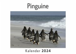 Pinguine (Wandkalender 2024, Kalender DIN A4 quer, Monatskalender im Querformat mit Kalendarium, Das perfekte Geschenk) - Müller, Anna