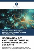 MODULATION DES KALZIUMEINSTROMS IN HIPPOCAMPUSZELLEN DER RATTE