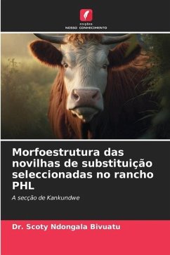 Morfoestrutura das novilhas de substituição seleccionadas no rancho PHL - Ndongala Bivuatu, Dr. Scoty