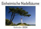 Einheimische Nadelbäume (Wandkalender 2024, Kalender DIN A4 quer, Monatskalender im Querformat mit Kalendarium, Das perfekte Geschenk)