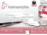Hahnemühle Papier Expression Watercolour, 30 x 40 cm, 300 g/m²