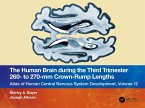 The Human Brain during the Third Trimester 260- to 270-mm Crown-Rump Lengths (eBook, ePUB)