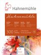 Hahnemühle Papier Hahnemühle 300, 24... - Bild 1