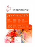 Hahnemühle Papier Hahnemühle 300, 24 x 32 cm, 300 g/m²