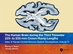 The Human Brain during the Third Trimester 225- to 235-mm Crown-Rump Lengths (eBook, ePUB)