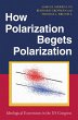How Polarization Begets Polarization... - Bild 1