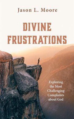 Divine Frustrations (eBook, ePUB)