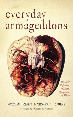 Everyday Armageddons (eBook, ePUB) - Holmes, Matthew; Gaulke, Thomas R.
