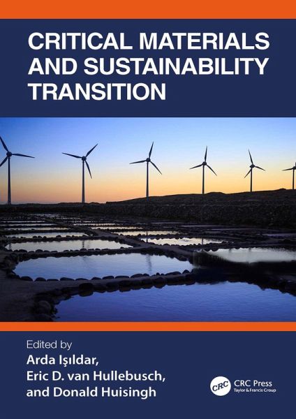 Critical Materials and Sustainability Transition (eBook, PDF)