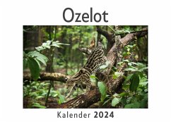 Ozelot (Wandkalender 2024, Kalender DIN A4 quer, Monatskalender im Querformat mit Kalendarium, Das perfekte Geschenk) - Müller, Anna