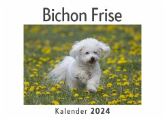 Bichon Frise (Wandkalender 2024, Kalender DIN A4 quer, Monatskalender im Querformat mit Kalendarium, Das perfekte Geschenk) - Müller, Anna