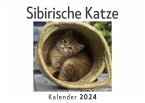 Sibirische Katze (Wandkalender 2024, Kalender DIN A4 quer, Monatskalender im Querformat mit Kalendarium, Das perfekte Geschenk)