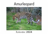 Amurleopard (Wandkalender 2024, Kalender DIN A4 quer, Monatskalender im Querformat mit Kalendarium, Das perfekte Geschenk)