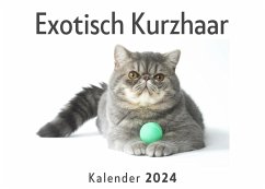 Exotisch Kurzhaar (Wandkalender 2024, Kalender DIN A4 quer, Monatskalender im Querformat mit Kalendarium, Das perfekte Geschenk) - Müller, Anna