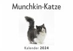 Munchkin-Katze (Wandkalender 2024, Kalender DIN A4 quer, Monatskalender im Querformat mit Kalendarium, Das perfekte Geschenk)