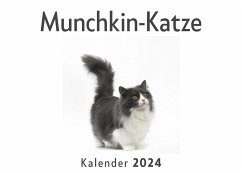 Munchkin-Katze (Wandkalender 2024, Kalender DIN A4 quer, Monatskalender im Querformat mit Kalendarium, Das perfekte Geschenk) - Müller, Anna