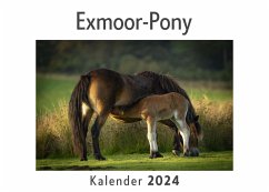 Exmoor-Pony (Wandkalender 2024, Kalender DIN A4 quer, Monatskalender im Querformat mit Kalendarium, Das perfekte Geschenk) - Müller, Anna