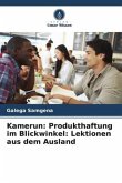 Kamerun: Produkthaftung im Blickwinkel: Lektionen aus dem Ausland