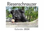 Riesenschnauzer (Wandkalender 2024, Kalender DIN A4 quer, Monatskalender im Querformat mit Kalendarium, Das perfekte Geschenk)