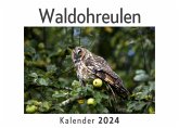 Waldohreulen (Wandkalender 2024, Kalender DIN A4 quer, Monatskalender im Querformat mit Kalendarium, Das perfekte Geschenk)