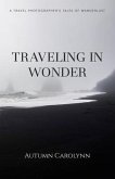 Traveling in Wonder (eBook, ePUB)