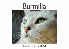 Burmilla (Wandkalender 2024, Kalender DIN A4 quer, Monatskalender im Querformat mit Kalendarium, Das perfekte Geschenk) - Müller, Anna