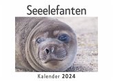 Seeelefanten (Wandkalender 2024, Kalender DIN A4 quer, Monatskalender im Querformat mit Kalendarium, Das perfekte Geschenk)