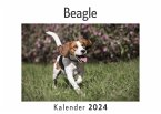 Beagle (Wandkalender 2024, Kalender DIN A4 quer, Monatskalender im Querformat mit Kalendarium, Das perfekte Geschenk)