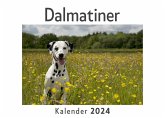 Dalmatiner (Wandkalender 2024, Kalender DIN A4 quer, Monatskalender im Querformat mit Kalendarium, Das perfekte Geschenk)