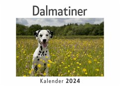 Dalmatiner (Wandkalender 2024, Kalender DIN A4 quer, Monatskalender im Querformat mit Kalendarium, Das perfekte Geschenk) - Müller, Anna