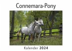 Connemara-Pony (Wandkalender 2024, Kalender DIN A4 quer, Monatskalender im Querformat mit Kalendarium, Das perfekte Geschenk)