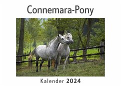 Connemara-Pony (Wandkalender 2024, Kalender DIN A4 quer, Monatskalender im Querformat mit Kalendarium, Das perfekte Geschenk) - Müller, Anna