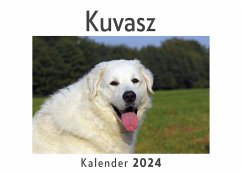 Kuvasz (Wandkalender 2024, Kalender DIN A4 quer, Monatskalender im Querformat mit Kalendarium, Das perfekte Geschenk) - Müller, Anna