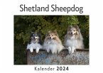 Shetland Sheepdog (Wandkalender 2024, Kalender DIN A4 quer, Monatskalender im Querformat mit Kalendarium, Das perfekte Geschenk)