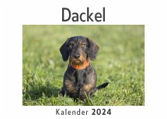 Dackel (Wandkalender 2024, Kalender DIN A4 quer, Monatskalender im Querformat mit Kalendarium, Das perfekte Geschenk) - Müller, Anna