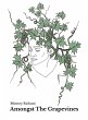 Amongst The Grapevines - Bild 1