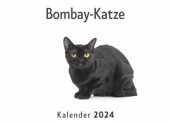 Bombay-Katze (Wandkalender 2024, Kalender DIN A4 quer, Monatskalender im Querformat mit Kalendarium, Das perfekte Geschenk) - Müller, Anna